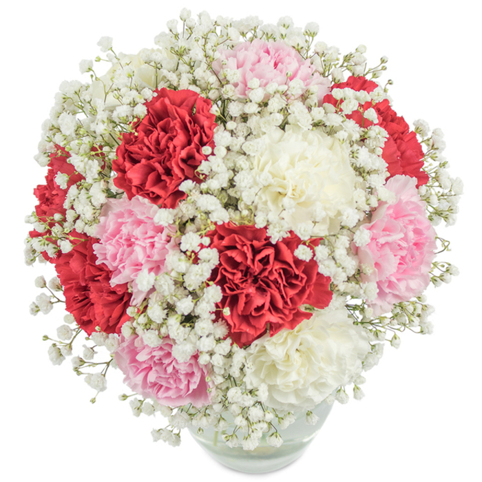 Imbued with the light and vibrancy of Limehouse's riverside locale, this generously rounded bouquet displays a vivid trio of carnations in deep red, blush pink, and creamy white, their full, ruffled petals forming a tapestry of colour and texture. The carnations are interspersed with a myriad of tiny white baby's breath (Gypsophila) flowers, lending a cloud-soft, ethereal quality that delivers striking visual contrast. Arranged in a clear, gently rounded glass vase, the bouquet's dense composition is thoughtfully curated to celebrate both abundance and grace. The vase base reveals the flower stems immersed in water, adding an authentic touch reminiscent of morning walks along Regent's Canal. Captured under natural, even light, set against a pristine white background, the arrangement's freshness and beauty are unmistakable. This classic composition evokes sentiments of admiration, appreciation, and heartfelt connection-ideal for anniversaries, heartfelt congratulations, or tokens of affection in the Limehouse area. With every glance, the bouquet tells a story of artistry and local tradition, crafted for those who cherish both heritage and contemporary flair.