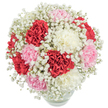 This dreamy bouquet, assembled by the hands of a Limehouse floral expert, is a soft symphony of white gypsophila in gentle embrace around lush carnations shaded in bold red, delicate pink, and pure white. The ruffled blooms evoke the energy of Limehouse Basin in full bloom, while the baby's breath offers a misty counterpart-like river fog swirling through Narrow Street on an early morning. Arranged in a clear, rounded vase that displays vibrant stems and cool water, the bouquet glows under clear, diffused light, drawing out the richness and fresh aroma of the carnations. The fullness of the bouquet conjures a sense of joyful luxury, suited for celebrations from dockside anniversaries to simple acts of kindness in Limehouse homes. This design speaks to the enduring elegance and tender sentiments shared along the Thames, ensuring a memorable and heartfelt floral experience for any occasion.