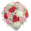 Blending texture and gentle colour, this abundant bouquet captures the easy-going elegance of Limehouse's riverside life. Lush carnations in striking red, delicate white, and soft pink are layered into a full, rounded mound, their ruffled petals delicately illuminated against a spotless white background. Wispy clouds of Baby's Breath frame the central blooms, creating an almost weightless effect that evokes the misty mornings along Limehouse Cut. Arranged in a simple clear glass vase, the composition radiates freshness and effortless charm-each detail from the vibrant colours to the feathery filler drawing the eye and lifting the mood. The bouquet's softly spicy scent and visual richness make it an ideal centrepiece for birthdays, anniversaries, or sharing small victories with neighbours on nearby Narrow Street. A true celebration of local floristry, the arrangement is ready for prompt delivery throughout the Limehouse area, ensuring that every joyful feeling it holds is shared with those who matter most.